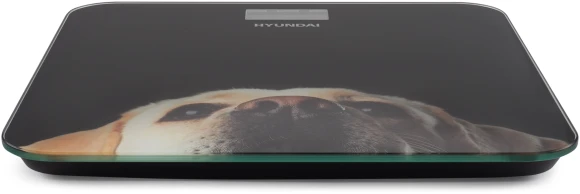 Весы напольные электронные Hyundai H-BS03674 макс.180кг черный