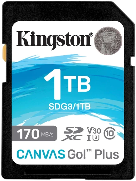 Флеш карта SDXC 1TB Kingston SDG3/1TB Canvas Go! Plus w/o adapter Флеш карта SDXC 1TB Kingston SDG3/1TB Canvas Go! Plus w/o adapter