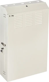 Шкаф коммутационный Lanmaster (TWT-CBVRT-5U-6X7-GY) настенный 5U 650x250мм пер.дв.металл направл.под винты 68кг серый 505мм 741мм IP20 сталь Шкаф коммутационный Lanmaster (TWT-CBVRT-5U-6X7-GY) настенный 5U 650x250мм пер.дв.металл направл.под винты 68кг серый 505мм 741мм IP20 сталь