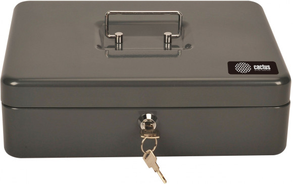 Ящик для денег без номинала Cactus CS-CB-004GY 90x300x240 серый сталь 1.967кг Ящик для денег без номинала Cactus CS-CB-004GY 90x300x240 серый сталь 1.967кг