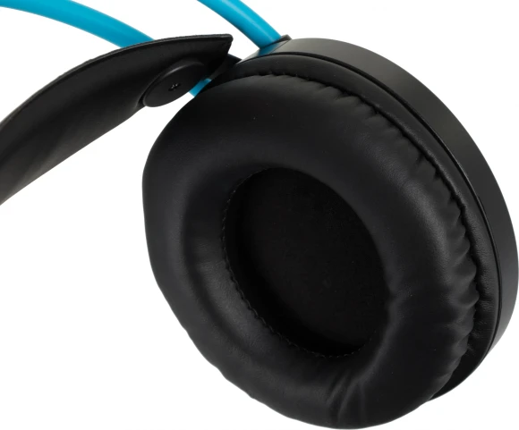 Наушники с микрофоном A4Tech Fstyler FH200U серый/синий 2м накладные USB оголовье (FH200U BLUE) Наушники с микрофоном A4Tech Fstyler FH200U серый/синий 2м накладные USB оголовье (FH200U BLUE)