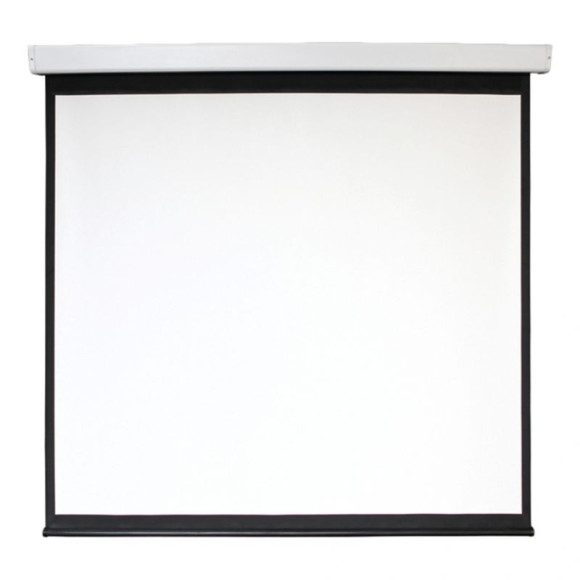 Экран Digis 118" 213x213см Electra-F DSEF-1107 1:1 настенно-потолочный рулонный (моторизованный привод)