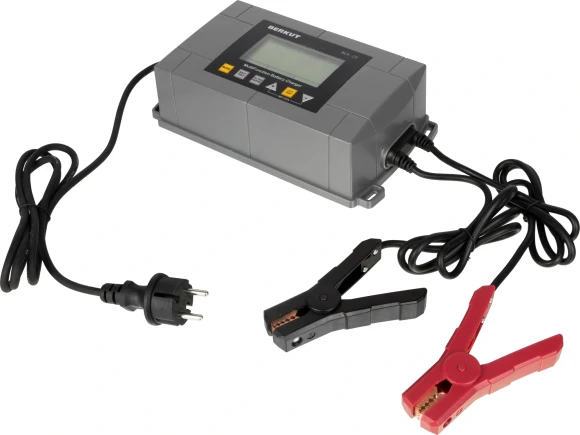 Зарядное устройство Berkut BCA-10