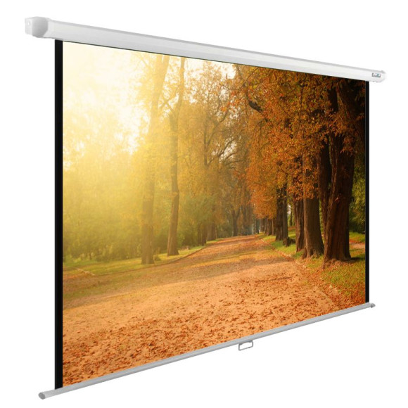Экран Cactus 93" 125x200см WallExpert CS-PSWE-200x125-WT 16:10 настенно-потолочный рулонный