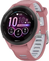 Смарт-часы Garmin Forerunner 55 42мм 1.04" LCD корп.серый рем.серый разм.брасл.:127-220мм (010-02562-13)