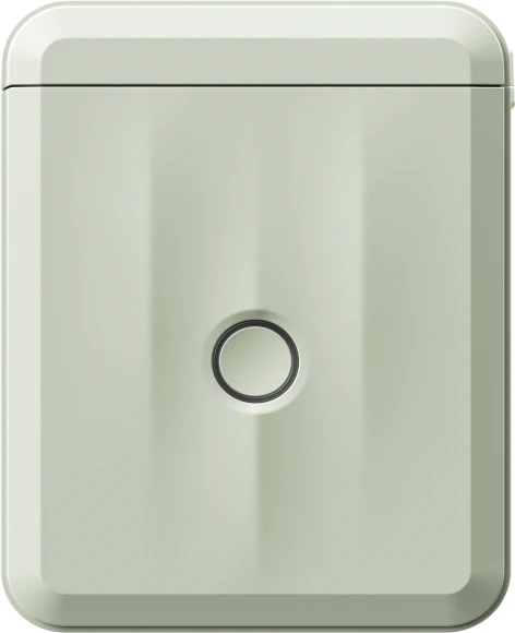 Термопринтер Niimbot D110 M (1746804) 203dpi 40мм/с/USB/BT для печ.этик. зеленый Термопринтер Niimbot D110 M (1746804) 203dpi 40мм/с/USB/BT для печ.этик. зеленый