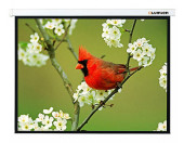 Экран Lumien 67" 127x127см Master Picture LMP-100101 1:1 настенно-потолочный рулонный