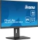 Монитор Iiyama 23.8" ProLite XUB2493HSU-B7 черный IPS LED 16:9 HDMI M/M матовая HAS Piv 300cd 178гр/178гр 1920x1080 100Hz DP FHD USB 4.6кг