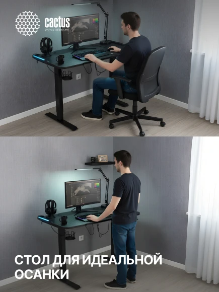 Стол для компьютера Cactus CS-ED-GBK электропривод столешница МДФ карбон каркас черный 120x60x72см