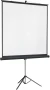 Экран на треноге Lumien 131" 244x244см Master View LMV-100105 1:1 напольный рулонный