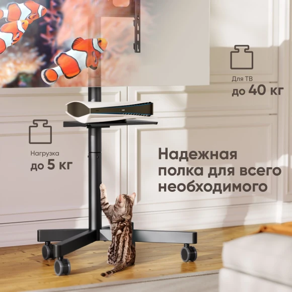 Стойка для телевизора Onkron TS1137 черный 23"-60" макс.45кг напольный мобильный Стойка для телевизора Onkron TS1137 черный 23"-60" макс.45кг напольный мобильный