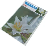 Коврик для мыши Buro BU-M20041 Мини рисунок/лилия 230x180x2мм Коврик для мыши Buro BU-M20041 Мини рисунок/лилия 230x180x2мм