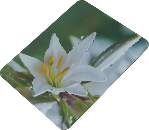 Коврик для мыши Buro BU-M20041 Мини рисунок/лилия 230x180x2мм