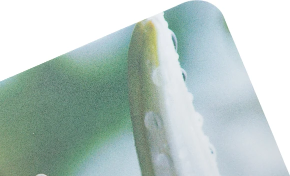 Коврик для мыши Buro BU-M20041 Мини рисунок/лилия 230x180x2мм