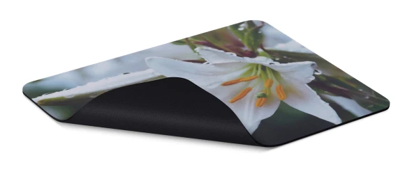 Коврик для мыши Buro BU-M20041 Мини рисунок/лилия 230x180x2мм