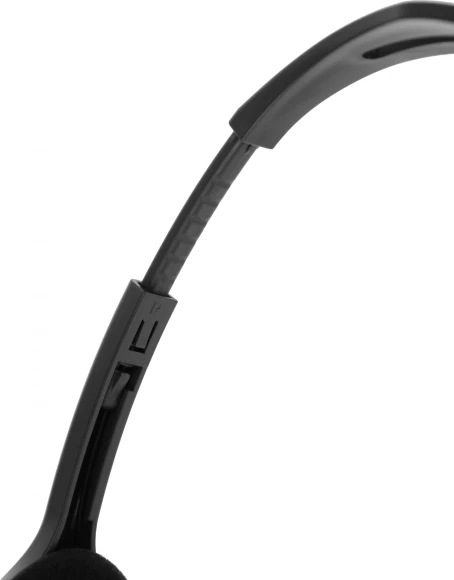 Наушники с микрофоном Logitech H110 темно-серый 1.8м накладные оголовье (981-000472) Наушники с микрофоном Logitech H110 темно-серый 1.8м накладные оголовье (981-000472)
