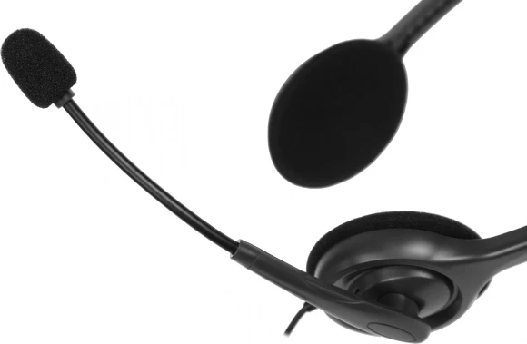Наушники с микрофоном Logitech H110 темно-серый 1.8м накладные оголовье (981-000472) Наушники с микрофоном Logitech H110 темно-серый 1.8м накладные оголовье (981-000472)