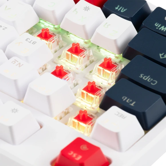 Клавиатура Acer OKR302 механическая белый USB беспроводная BT/Radio for gamer LED (ZL.KBDEE.016) кабель 1.6м