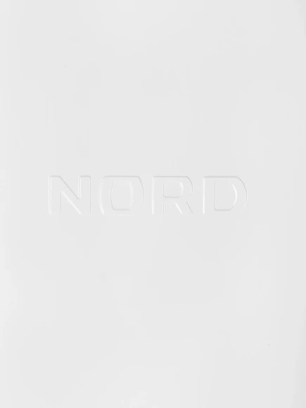 Морозильная камера Nord DF 261 WAP белый Морозильная камера Nord DF 261 WAP белый