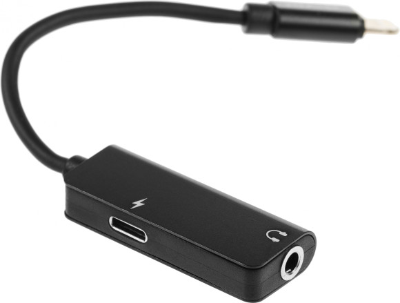 Переходник аудио Premier AWEI lightning/Jack 3.5 (f) 0.1м. черный (CL-121) Переходник аудио Premier AWEI lightning/Jack 3.5 (f) 0.1м. черный (CL-121)