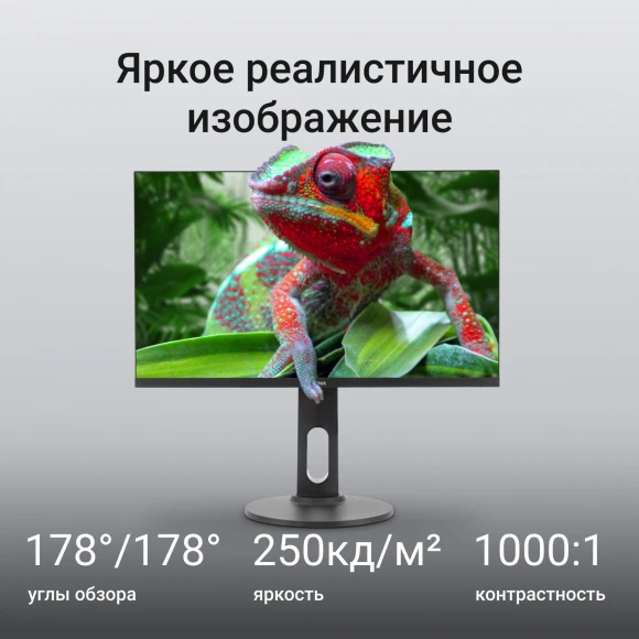 Монитор Digma 23.8" Progress 24P505F черный IPS LED 16:9 HDMI M/M матовая HAS Piv 250cd 178гр/178гр 1920x1080 100Hz G-Sync FreeSync VGA DP FHD 4.8кг Монитор Digma 23.8" Progress 24P505F черный IPS LED 16:9 HDMI M/M матовая HAS Piv 250cd 178гр/178гр 1920x1080 100Hz G-Sync FreeSync VGA DP FHD 4.8кг