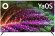 Телевизор LED Hyundai 65" H-LED65BU7003 Яндекс.ТВ Frameless черный 4K Ultra HD 60Hz DVB-T DVB-T2 DVB-C DVB-S DVB-S2 USB WiFi Smart TV Телевизор LED Hyundai 65" H-LED65BU7003 Яндекс.ТВ Frameless черный 4K Ultra HD 60Hz DVB-T DVB-T2 DVB-C DVB-S DVB-S2 USB WiFi Smart TV