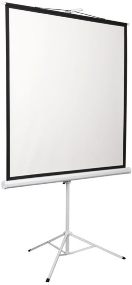 Экран Digis 120" 189x248см Kontur-D DSKD-4304 4:3 напольный рулонный
