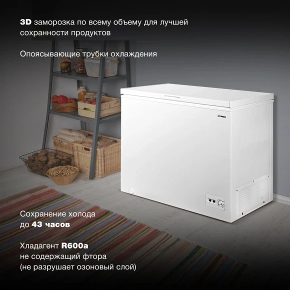 Морозильный ларь Hyundai CH2591WT белый