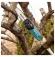 Высоторез Makita DUA200Z01аккум. Высоторез Makita DUA200Z01аккум.