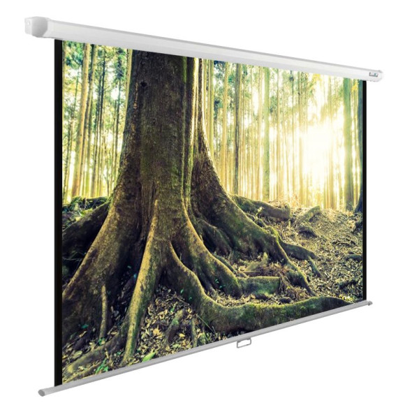 Экран Cactus 122" 220x220см WallExpert CS-PSWE-220x220-WT 1:1 настенно-потолочный рулонный