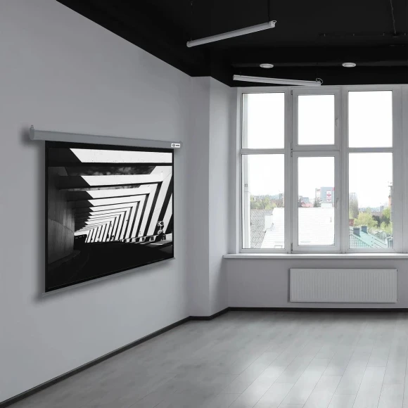 Экран Cactus 130" 175x280см SIlverMotoExpert CS-PSSME-280X175-DG 16:10 настенно-потолочный рулонный темно-серый (моторизованный привод)