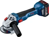 Углошлифовальная машина Bosch GWS 18V-10 9000об/мин рез.шпин.:M14 d=125мм жестк.кейс (06019J4004) Углошлифовальная машина Bosch GWS 18V-10 9000об/мин рез.шпин.:M14 d=125мм жестк.кейс (06019J4004)