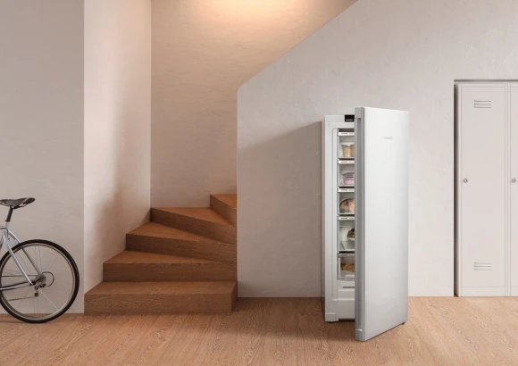 Морозильная камера Liebherr FNe 4605 FrostProtect белый Морозильная камера Liebherr FNe 4605 FrostProtect белый