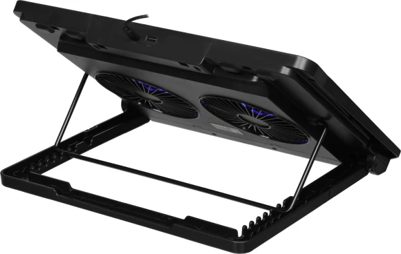 Подставка для ноутбука Digma D-NCP170-2x110 18" 400x288x45мм 52дБ 2xUSB 2x 110ммFAN 1100г Fan-control металл/пластик черный