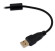 Клавиатура Оклик 709G черный USB for gamer LED (1788144) кабель 1.8м Клавиатура Оклик 709G черный USB for gamer LED (1788144) кабель 1.8м