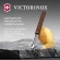 Овощечистка для овощей и фруктов Victorinox Standart Swiss Classic коричневый упак.:без упаковки (5.0209)