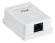 Розетка ITK CS2-1C5EU-12 настен.RJ45 1 кат.5E UTP бел.