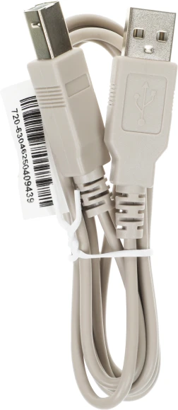 Источник бесперебойного питания Ippon Smart Winner II 2000 1800Вт 2000ВА черный