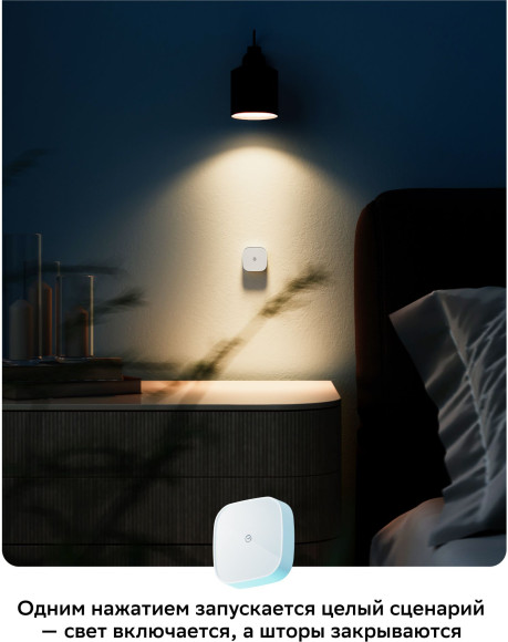 Умная кнопка Sber SBDV-00032 р.д.22м белый