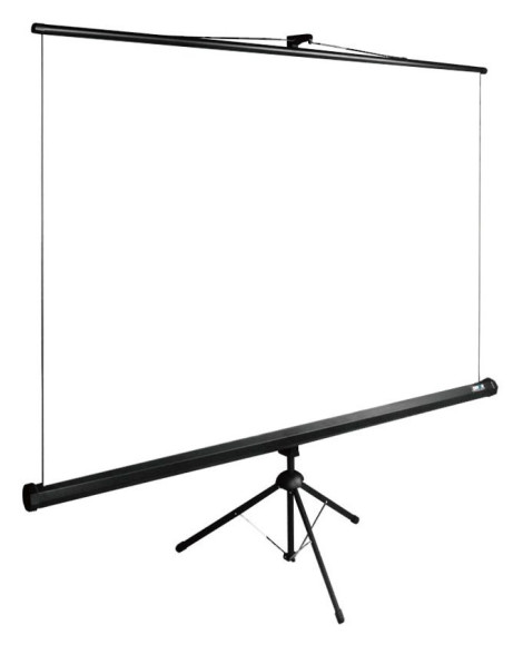 Экран Cactus 111.36" 200x200см TriExpert CS-PSTE-200x200-BK 1:1 напольный рулонный черный