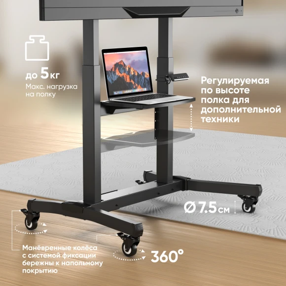 Стойка для телевизора Onkron TS1991 eLift черный 50"-100" макс.130кг напольный наклон (моторизованный лифт) Стойка для телевизора Onkron TS1991 eLift черный 50"-100" макс.130кг напольный наклон (моторизованный лифт)