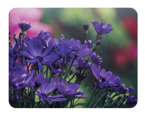 Коврик для мыши Buro BU-M20012 Мини рисунок/цветы 230x180x2мм Коврик для мыши Buro BU-M20012 Мини рисунок/цветы 230x180x2мм