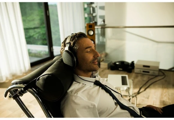 Наушники накладные Sennheiser HD 550 1.8м черный проводные оголовье (700455)