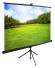 Экран Cactus 98" 150x200см TriExpert CS-PSTE-200x150-BK 4:3 напольный рулонный черный