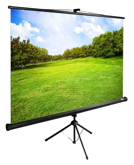 Экран Cactus 98" 150x200см TriExpert CS-PSTE-200x150-BK 4:3 напольный рулонный черный
