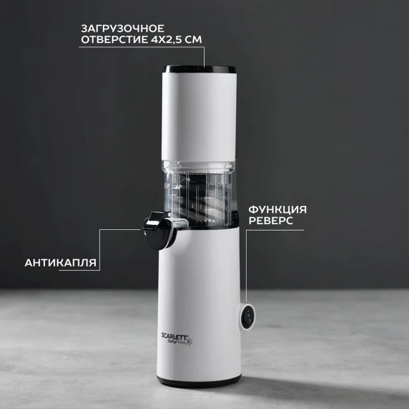 Соковыжималка шнековая Scarlett DailyPress SC-JE50S59 130Вт рез.сок.:600мл. белый