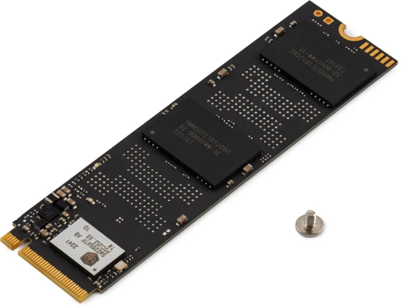 Накопитель SSD Digma PCIe 4.0 x4 1TB DGSM4001TS69T Meta S69 M.2 2280