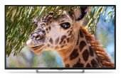 Телевизор LED PolarLine 55" 55PU11TC-SM черный 4K Ultra HD 60Hz DVB-T DVB-T2 DVB-C DVB-S2 WiFi Smart TV (RUS) Телевизор LED PolarLine 55" 55PU11TC-SM черный 4K Ultra HD 60Hz DVB-T DVB-T2 DVB-C DVB-S2 WiFi Smart TV (RUS)