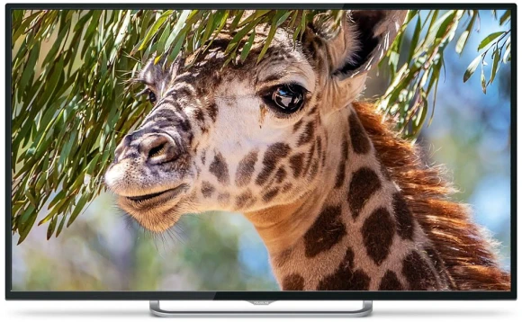 Телевизор LED PolarLine 55" 55PU11TC-SM черный 4K Ultra HD 60Hz DVB-T DVB-T2 DVB-C DVB-S2 USB WiFi Smart TV (RUS)