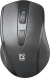 Мышь Defender Accura MM-295 черный оптическая 1600dpi беспров. USB 6but (52295)